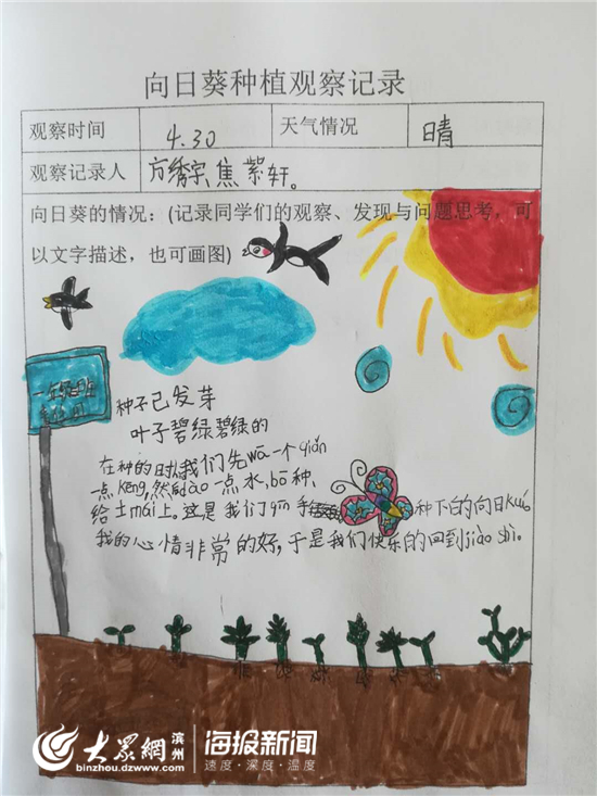 庞家镇第一小学打造校园农庄 学生化身"小农夫"学种植