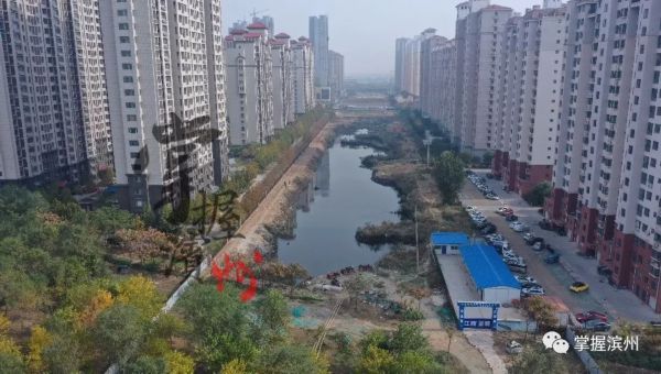 开通黄河九路建湿地公园滨州市区又将启动新工程