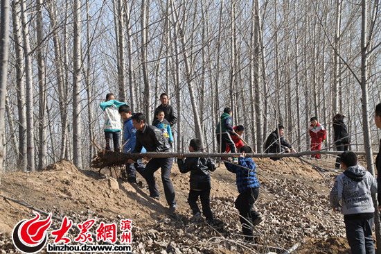 “先挖苗 后种树” 500名滨州网友“披绿”黄河