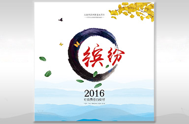 缤纷2016白皮书